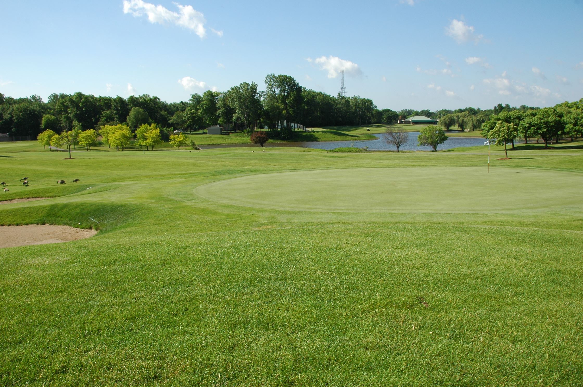 A view of the beautiful scenery of the Taylor Meadows Golf Course.